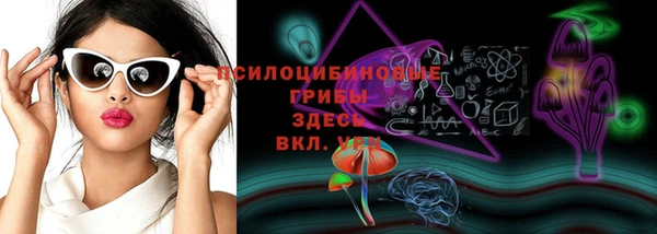 ешки Арсеньев