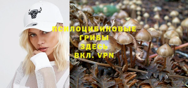 MESCALINE Аркадак