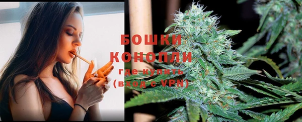 ешки Арсеньев