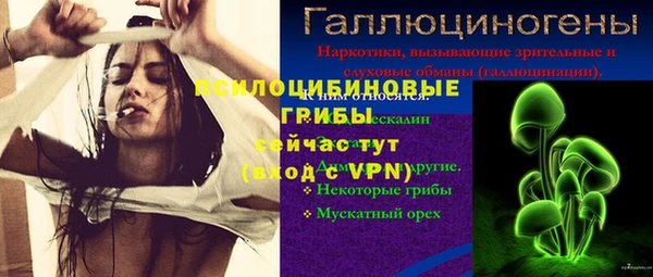 ешки Арсеньев