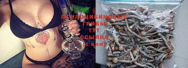 ешки Арсеньев