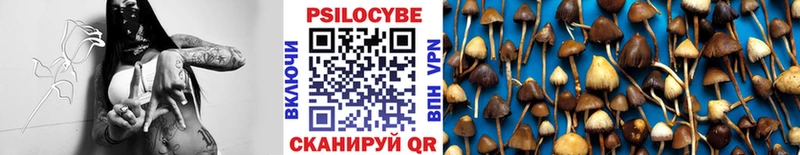 Галлюциногенные грибы Psilocybe  купить наркотики сайты  Рудня 